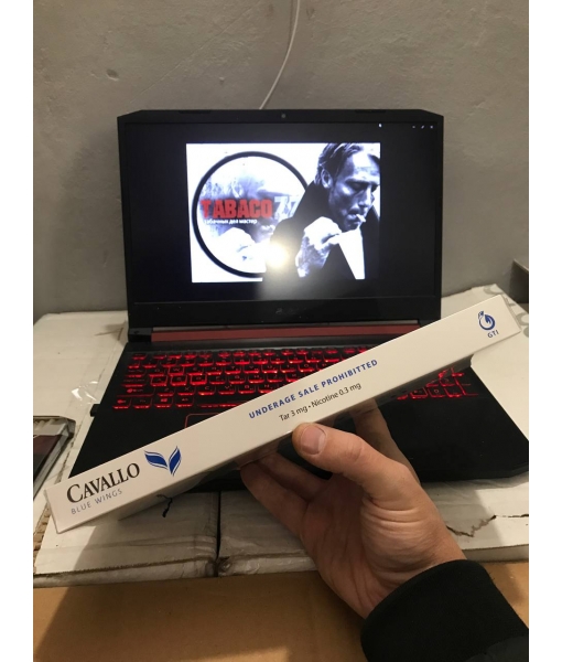 Cavallo SS Blue Wings